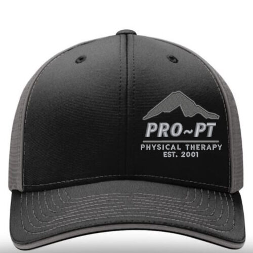 Richardson Fitted Mesh Thumbnail