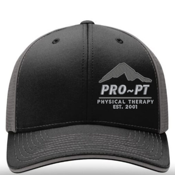 Richardson Fitted Mesh Thumbnail